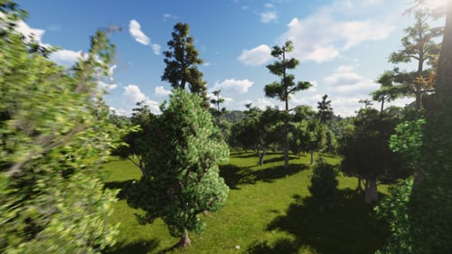 Fly through Forest 2