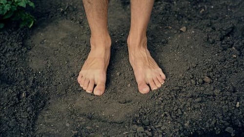 Feet On The Ground