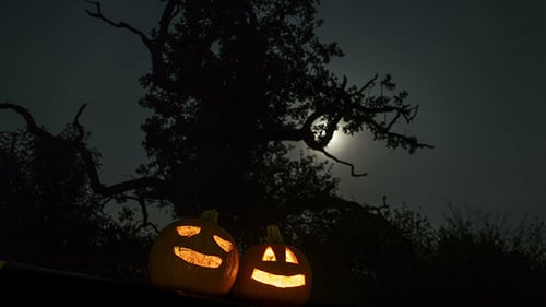 Scary Halloween Pumpkins in the Forest