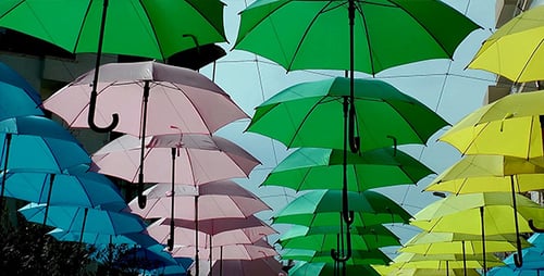 Colorful Umbrellas Art Installation in Urban Environment