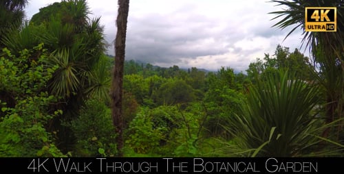 Walk Through The Botanical Garden 12