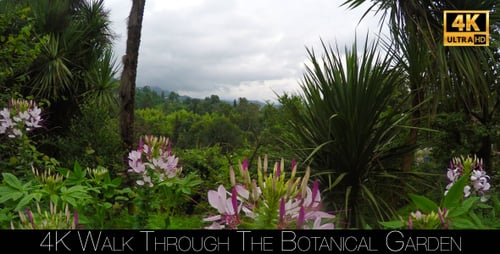 Walk Through The Botanical Garden 13