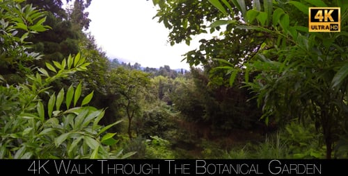 Walk Through The Botanical Garden 14