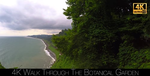 Walk Through The Botanical Garden 17