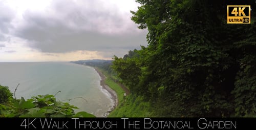 Walk Through The Botanical Garden 18