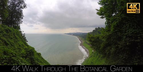 Walk Through The Botanical Garden 19