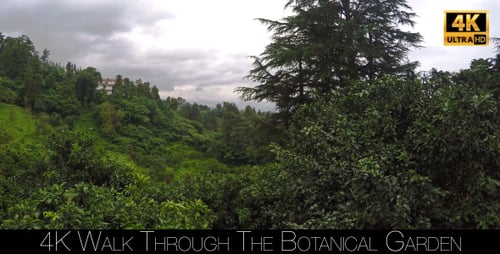 Walk Through The Botanical Garden 22