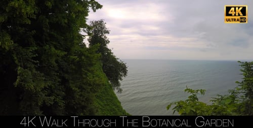 Walk Through The Botanical Garden 28