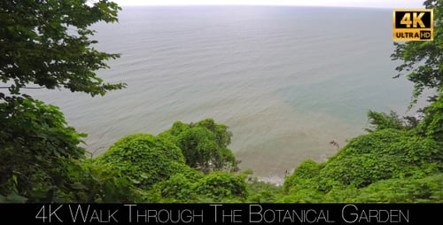 Walk Through The Botanical Garden 29