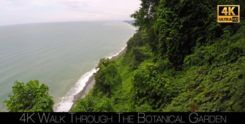 Walk Through The Botanical Garden 31