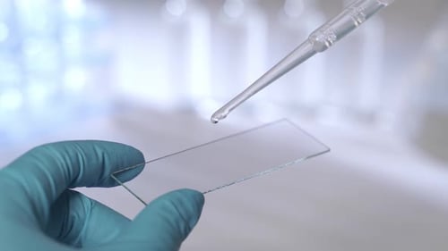 A Scientist Is Preparing a Sample for Microscopy