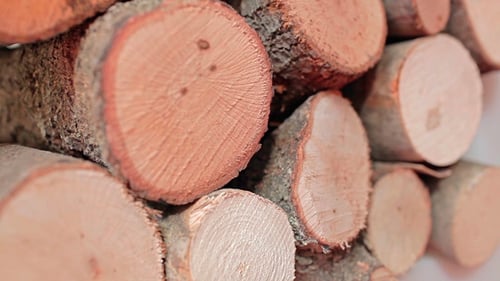 Stack of Cut Wood Logs Close Up