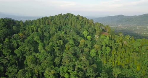 Drone flying near mountains and volcano covered by green trees in Indonesia.
hill and forest in tro