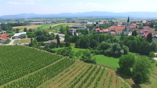 Wunderschöne Luftlandschaft der Weinbergfelder in Slowenien. 7