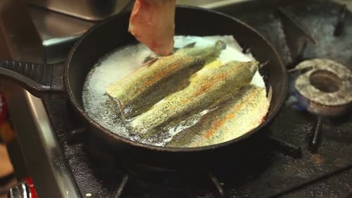 Fish Fillets Frying in Skillet on Stove
