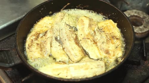 Fish Fillets Frying in Pan on Stove