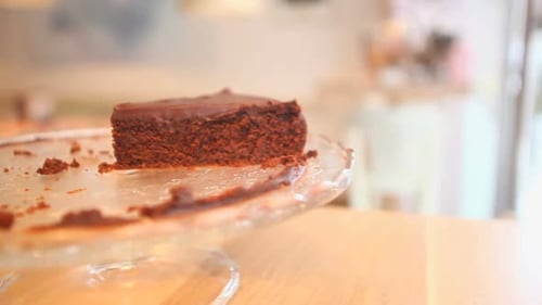 Chocolate Cake Slice on a Cake Stand