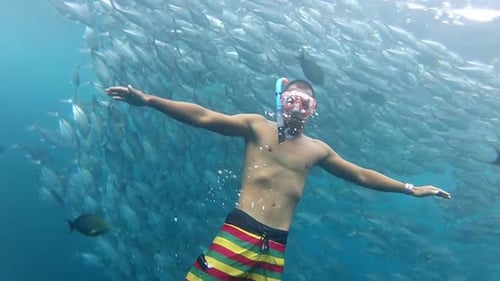 Personne Nageant Parmi Un Banc De Poissons Jack À Tulemben à Bali, Indonésie 1