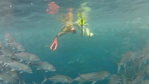 Persona nadando entre bancos de peces gato en Tulemben en Bali, Indonesia 3