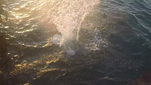 Jump In Water