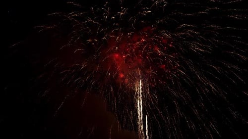 Brilliant Fireworks Exploding in the Night Sky