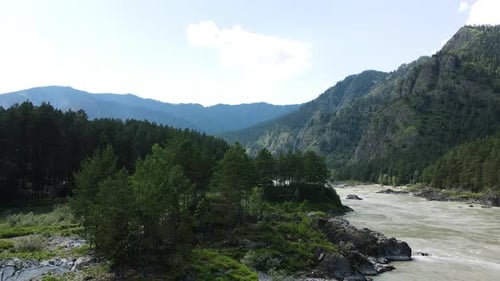 Mountain Valley with Green Trees and a River