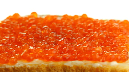 Exquisite Red Caviar on Buttered Bread Slice