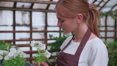 Young Woman Tending to Flowers in Greenhouse