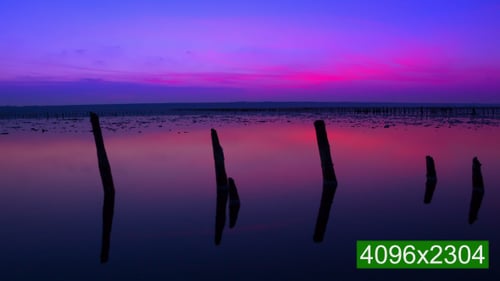 Tranquil Sunrise Over Water with Wooden Posts