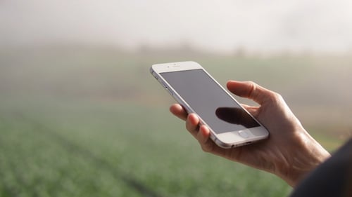 Woman Using Cell Phone in Rural Field