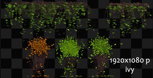 Animated Growing Vines and Leaves Elements Pack