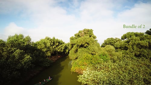 Flying Over Wild River