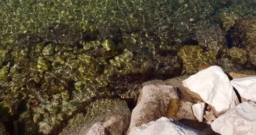 Close Up of Rocks and Stones at Seashore