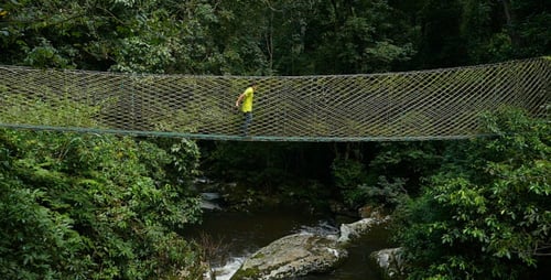 Man walking on Suspension Bridge in Forest