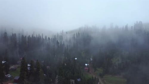 Cloud and forest aerial view