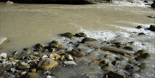 Fluss 31