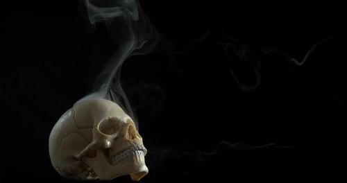 Smoking skull and mystery.