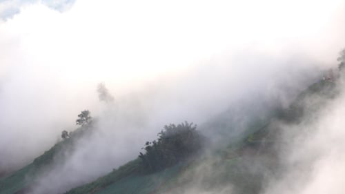 Nebel über dem Berg