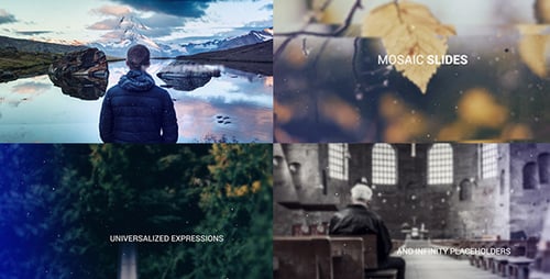 Cinematic Split Screen Opener with Retro Film Grain and Light Leaks