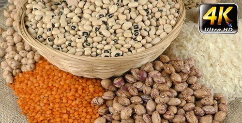 Variety of Healthy Dried Beans and Rice Grains