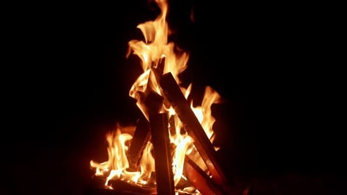Blazing Campfire with Flickering Flames in the Dark