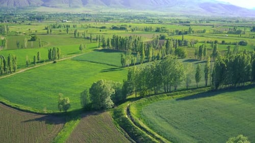 Agriculture