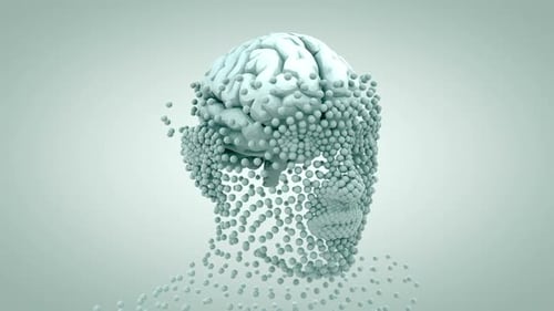 Human Brain Forming with Abstract Particle Head