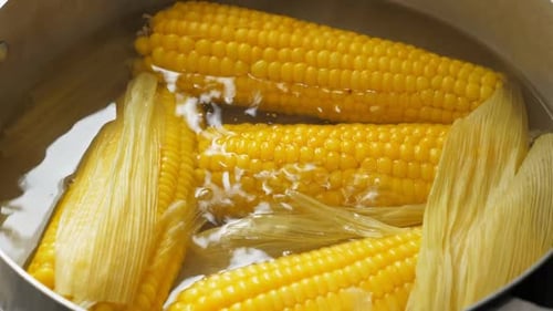 Fresh Corn on the Cob Boiling in Pot