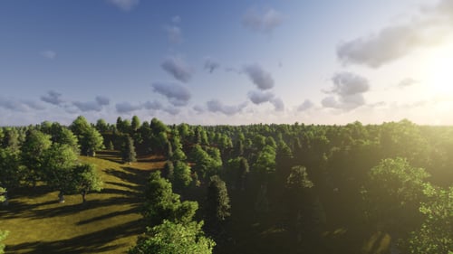 Flug über den Wald bei Sonnenuntergang