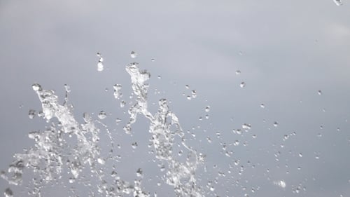 Water