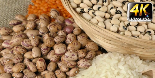 Variety of Dried Beans, Rice, and Lentils
