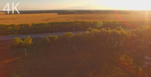Volando sobre la carretera y el bosque