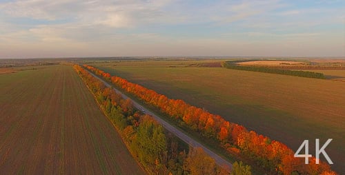 Automobile Road and Beautiful Autumn Nature