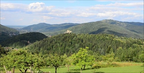 Picturesque Mountain Landscape with Forest and Village View